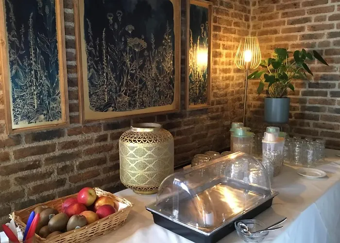 Hotel Steensel Ξενοδοχείο Steensel