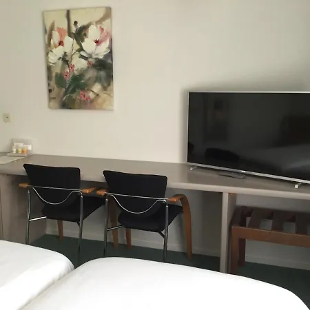 Hotel Steensel ホテル Steensel